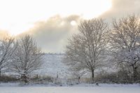 Reinbek Winter 2003