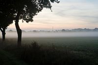 Morgennebel bei Dassendorf