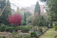 Reinbek - Friedhof im Herbst