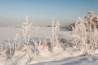 Reinbek Winter 2010