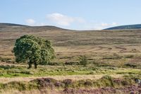 Weite Landschaft - Irland 2008
