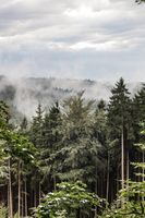 Polen - Wolken